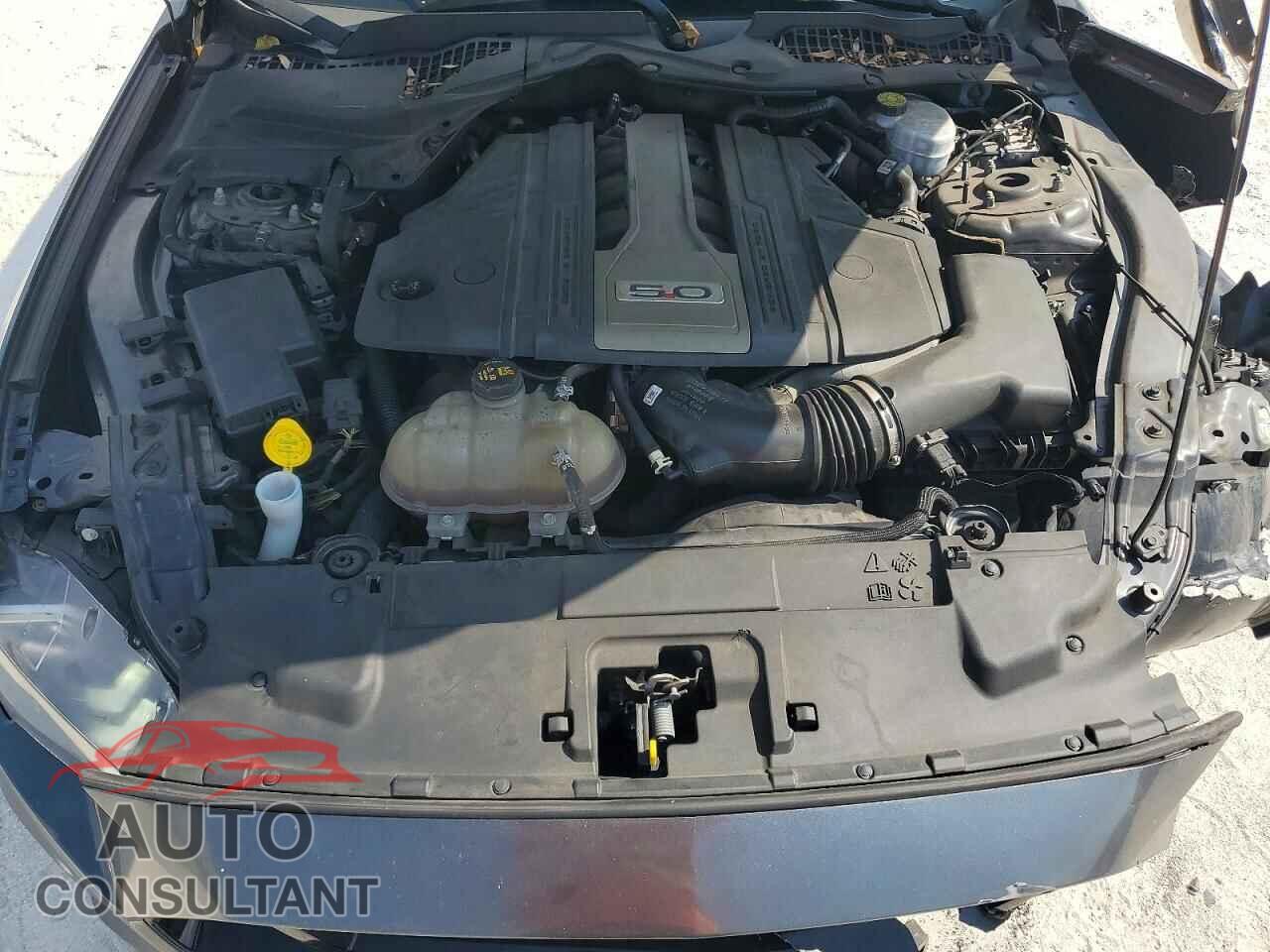FORD MUSTANG 2019 - 1FA6P8CF0K5103712