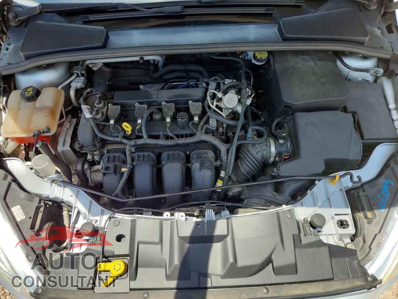 FORD FOCUS 2016 - 1FADP3K28GL402862