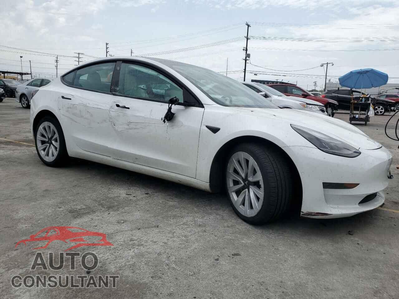 TESLA MODEL 3 2021 - 5YJ3E1EA9MF031390