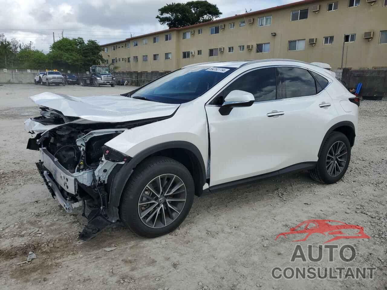 LEXUS NX 350H BA 2024 - JTJAKCEZXR5022592