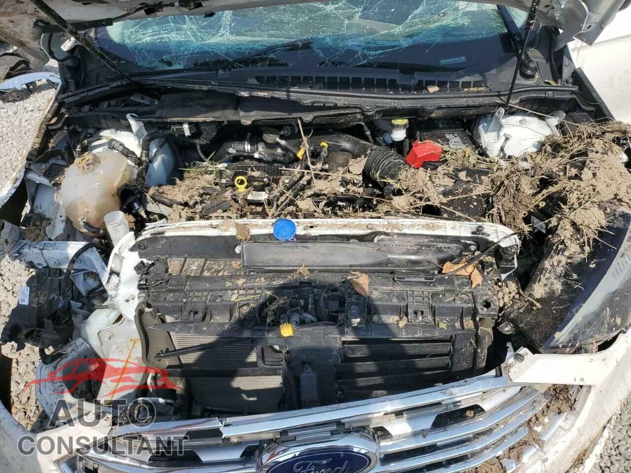 FORD EDGE 2019 - 2FMPK4K94KBC17432