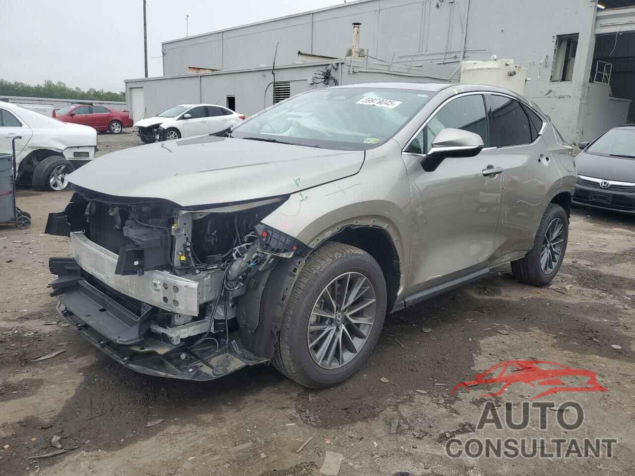 LEXUS NX 350 PRE 2025 - 2T2GGCEZ3SC072186