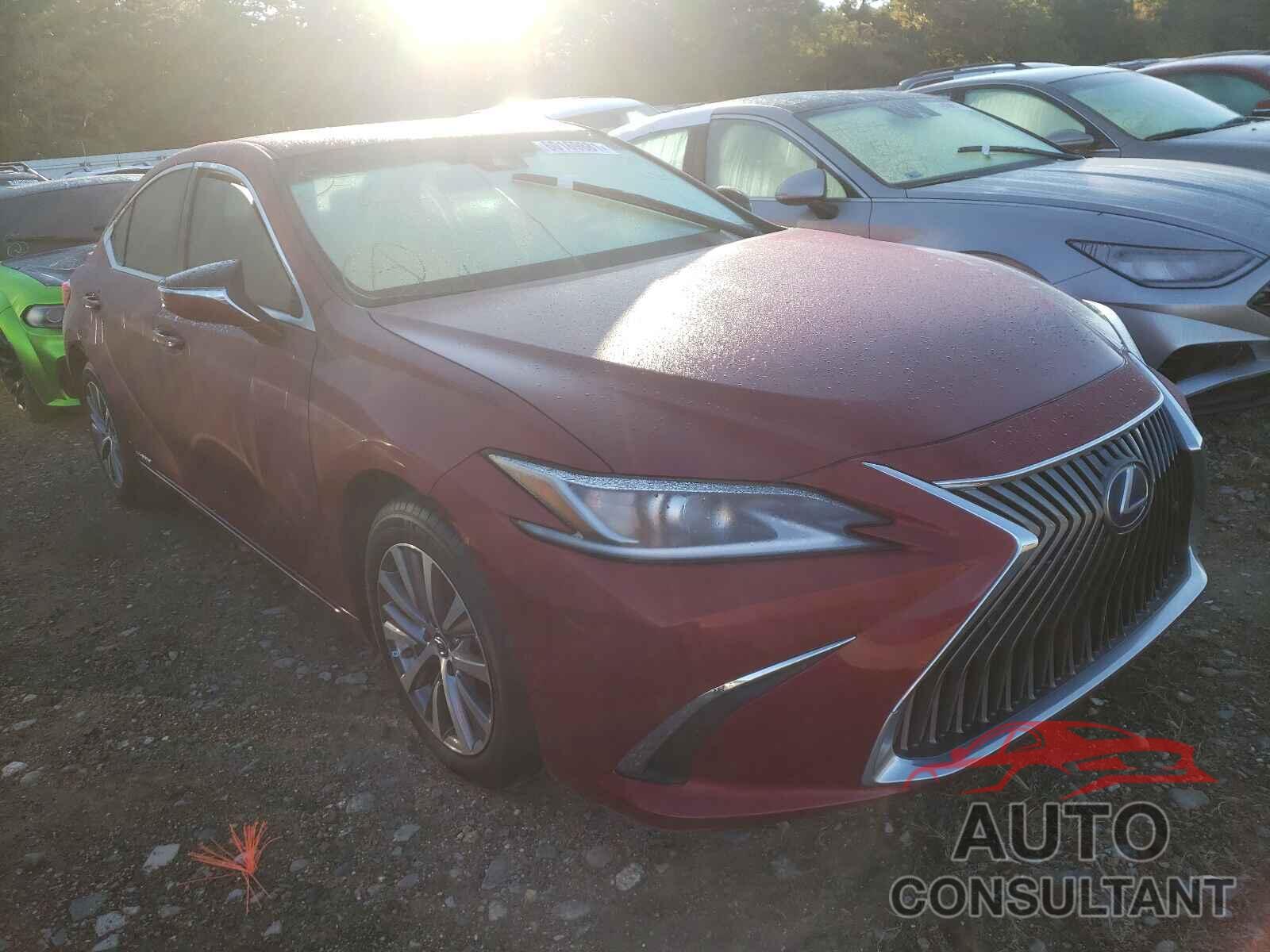 LEXUS ES300 2020 - 58AD21B13LU009087