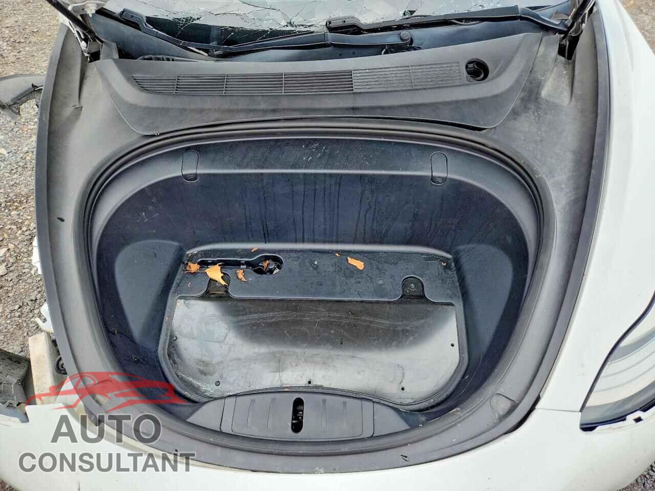 TESLA MODEL 3 2019 - 5YJ3E1EB4KF200060