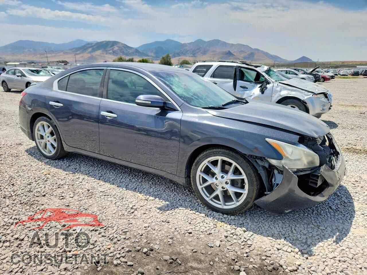 NISSAN MAXIMA 2009 - 1N4AA51E89C829117