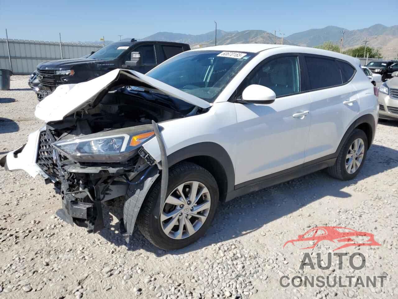 HYUNDAI TUCSON 2019 - KM8J2CA44KU875722