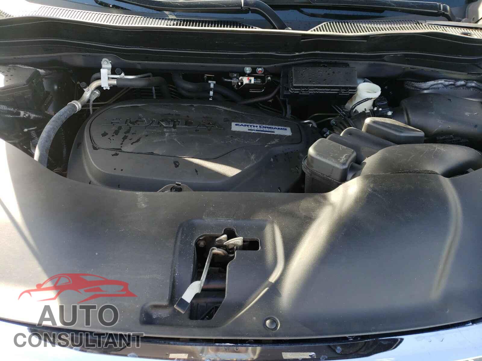 HONDA RIDGELINE 2019 - 5FPYK3F79KB011951