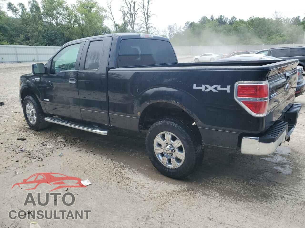 FORD F-150 2012 - 1FTFX1ET4CFC51782