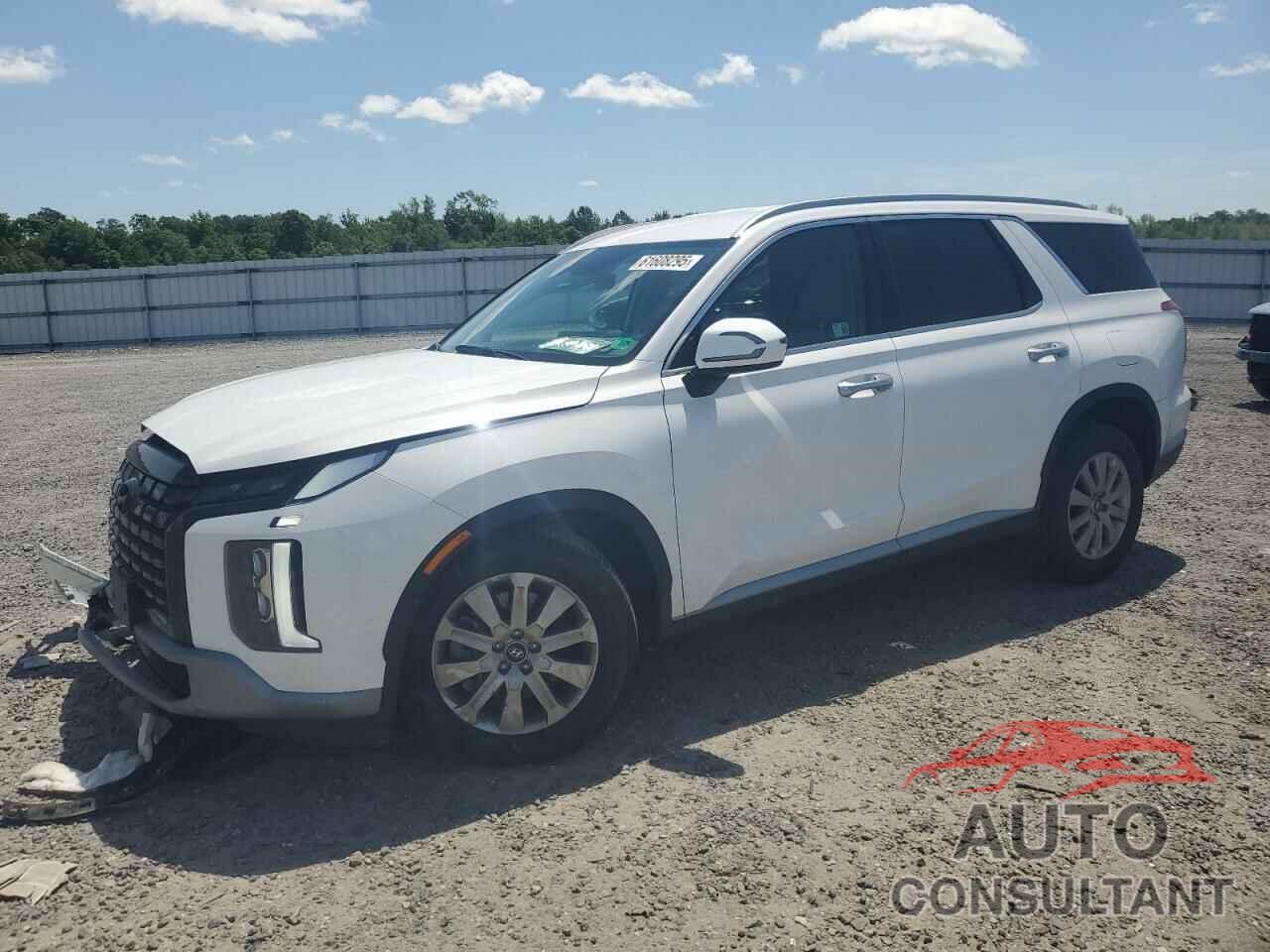 HYUNDAI PALISADE 2025 - KM8R2DGE7SU884178