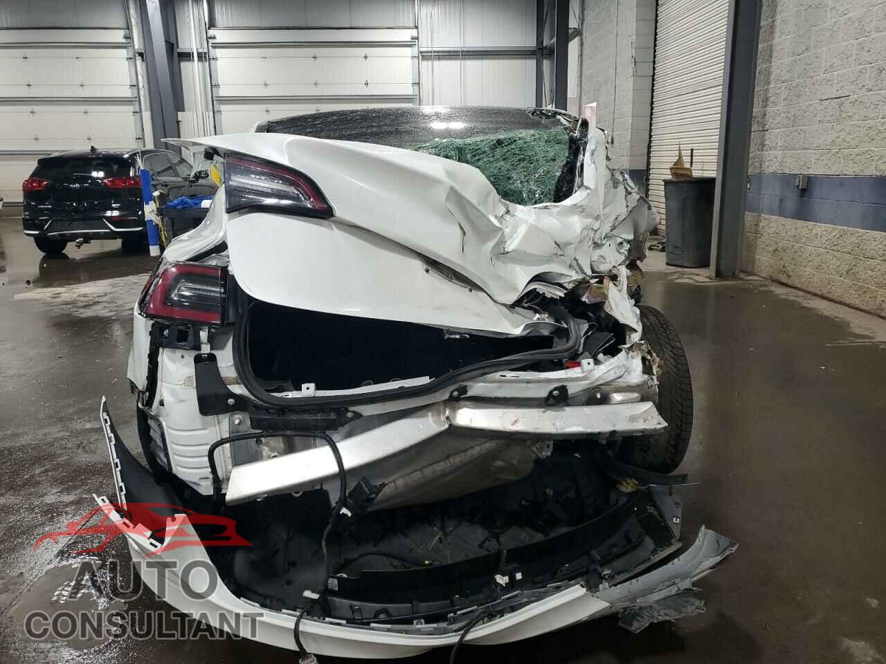 TESLA MODEL 3 2019 - 5YJ3E1EB9KF195597