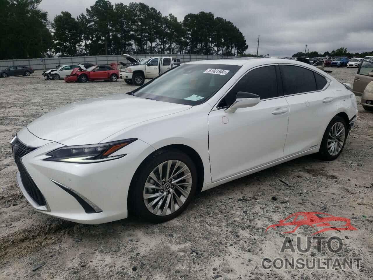 LEXUS ES300 2022 - 58AFA1C13NU013279