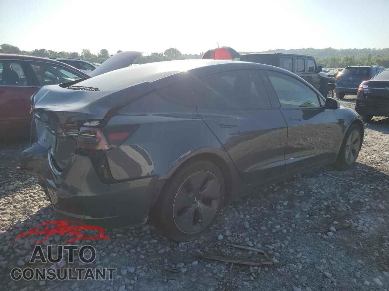 TESLA MODEL 3 2021 - 5YJ3E1EA8MF053266
