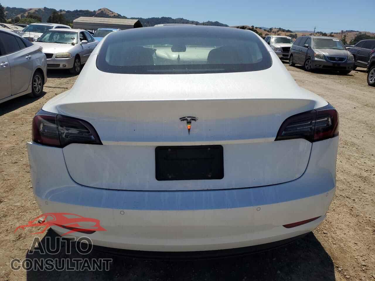TESLA MODEL 3 2021 - 5YJ3E1EAXMF981936