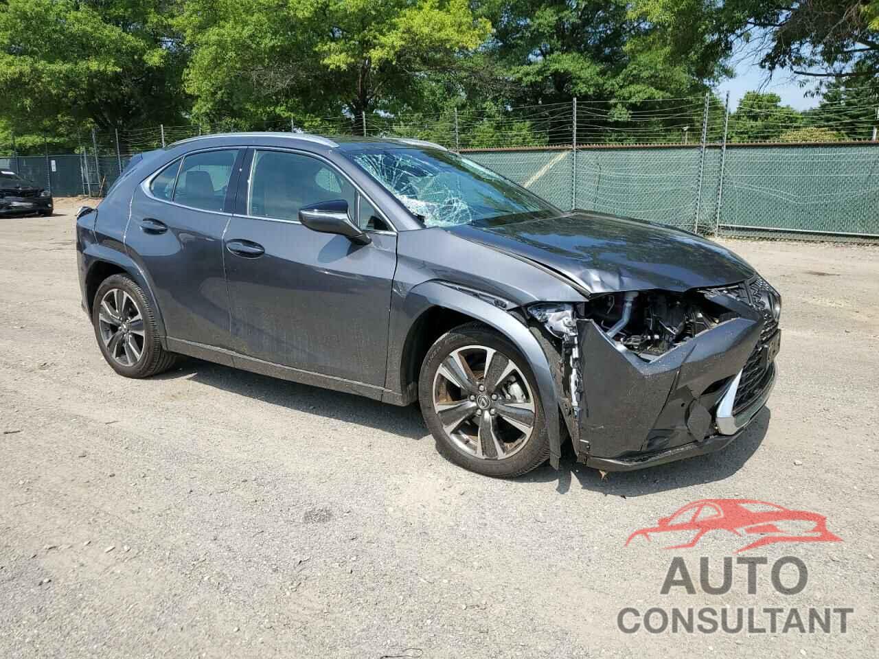 LEXUS UX 300H BA 2025 - JTHUCJDH7S2000551
