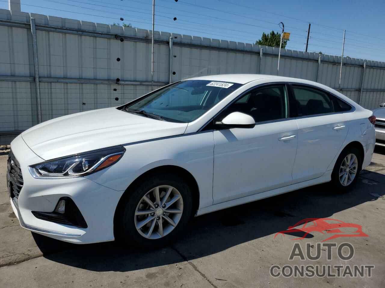 HYUNDAI SONATA 2019 - 5NPE24AFXKH758203