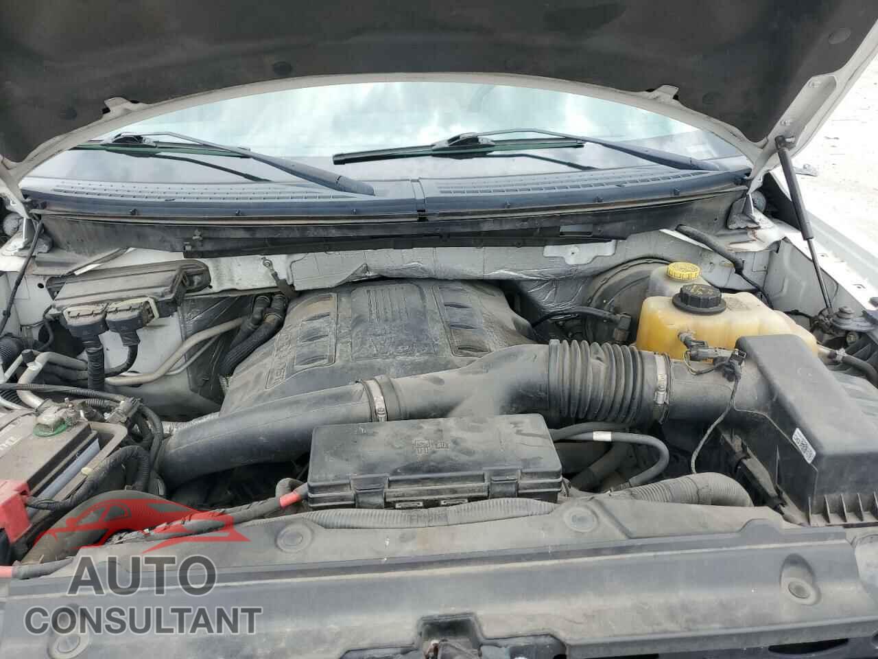 FORD F-150 2013 - 1FTFW1CT2DFD76058