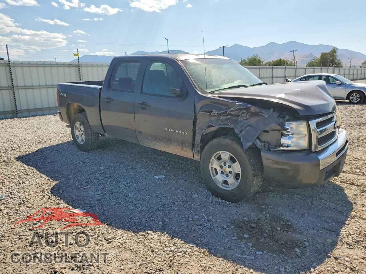 CHEVROLET SILVERADO 2010 - 3GCRKSE32AG177601