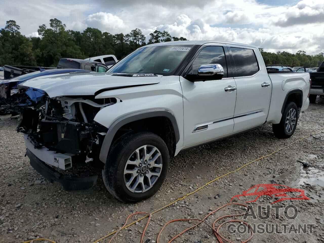 TOYOTA TUNDRA 2023 - 5TFMC5EC5PX002918