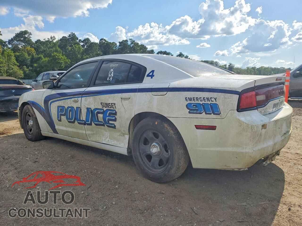 DODGE CHARGER 2014 - 2C3CDXAT5EH348919
