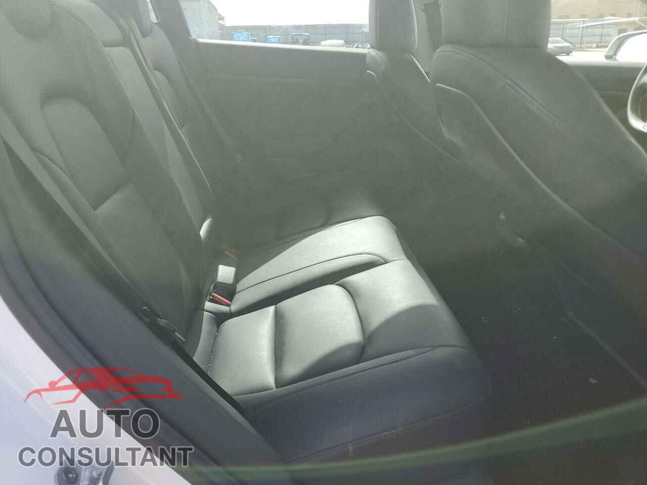 TESLA MODEL 3 2020 - 5YJ3E1EA1LF613191