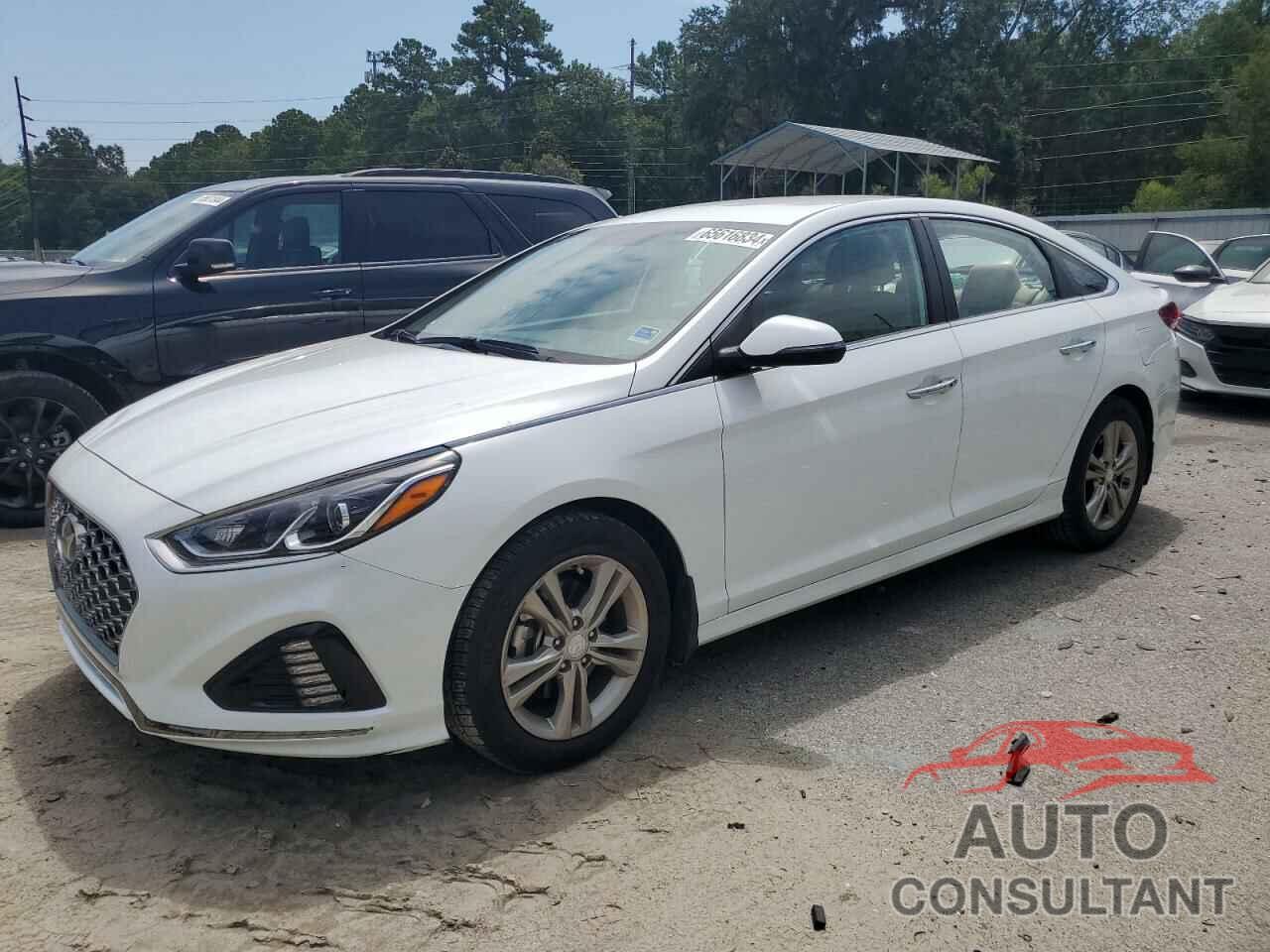 HYUNDAI SONATA 2019 - 5NPE34AF2KH797459