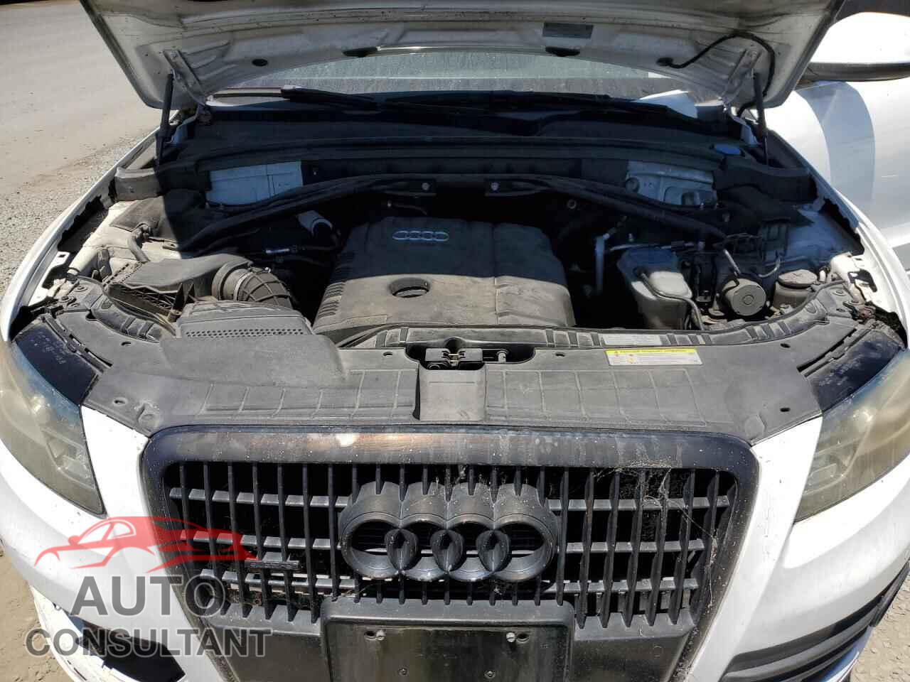 AUDI Q5 2011 - WA1LFAFPXBA091050