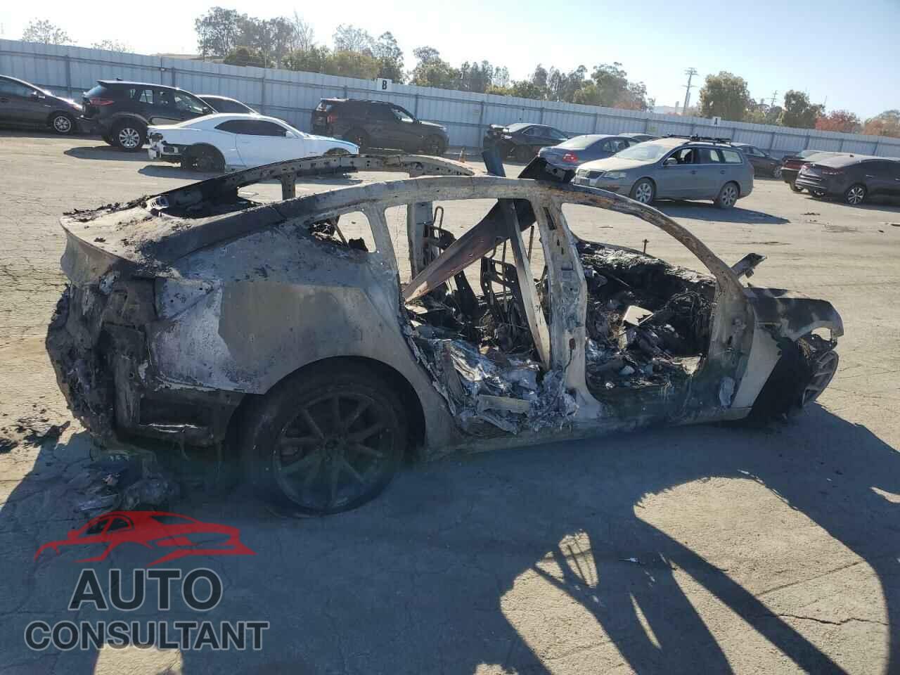 TESLA MODEL 3 2021 - 5YJ3E1EAXMF100068