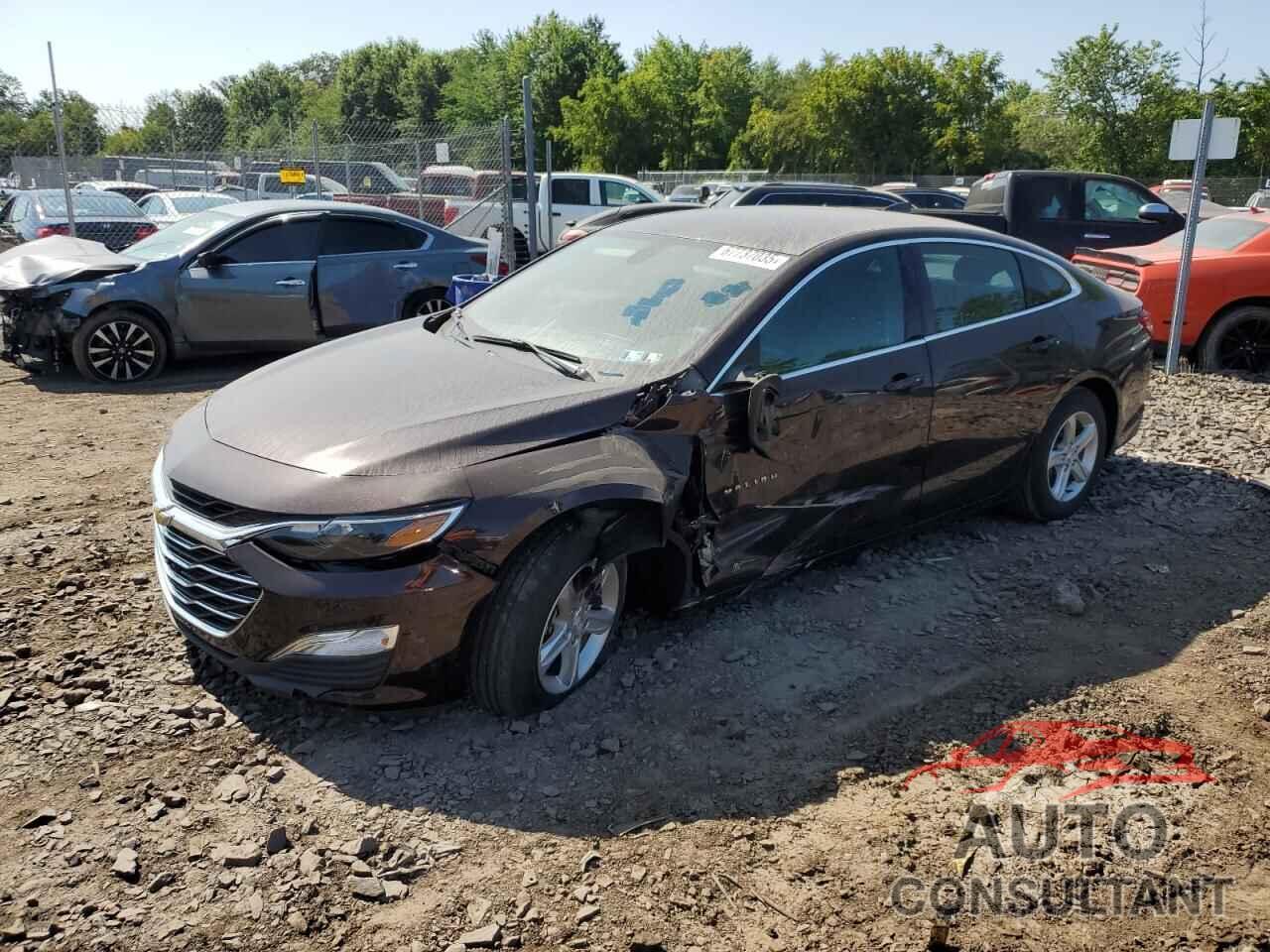 CHEVROLET MALIBU 2020 - 1G1ZB5ST6LF128727