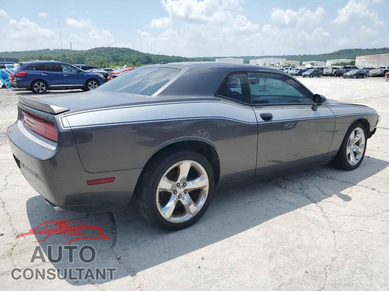 DODGE CHALLENGER 2013 - 2C3CDYAG9DH653184