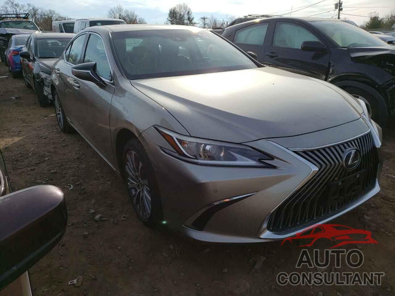 LEXUS ES300 2021 - 58ADA1C14MU011238