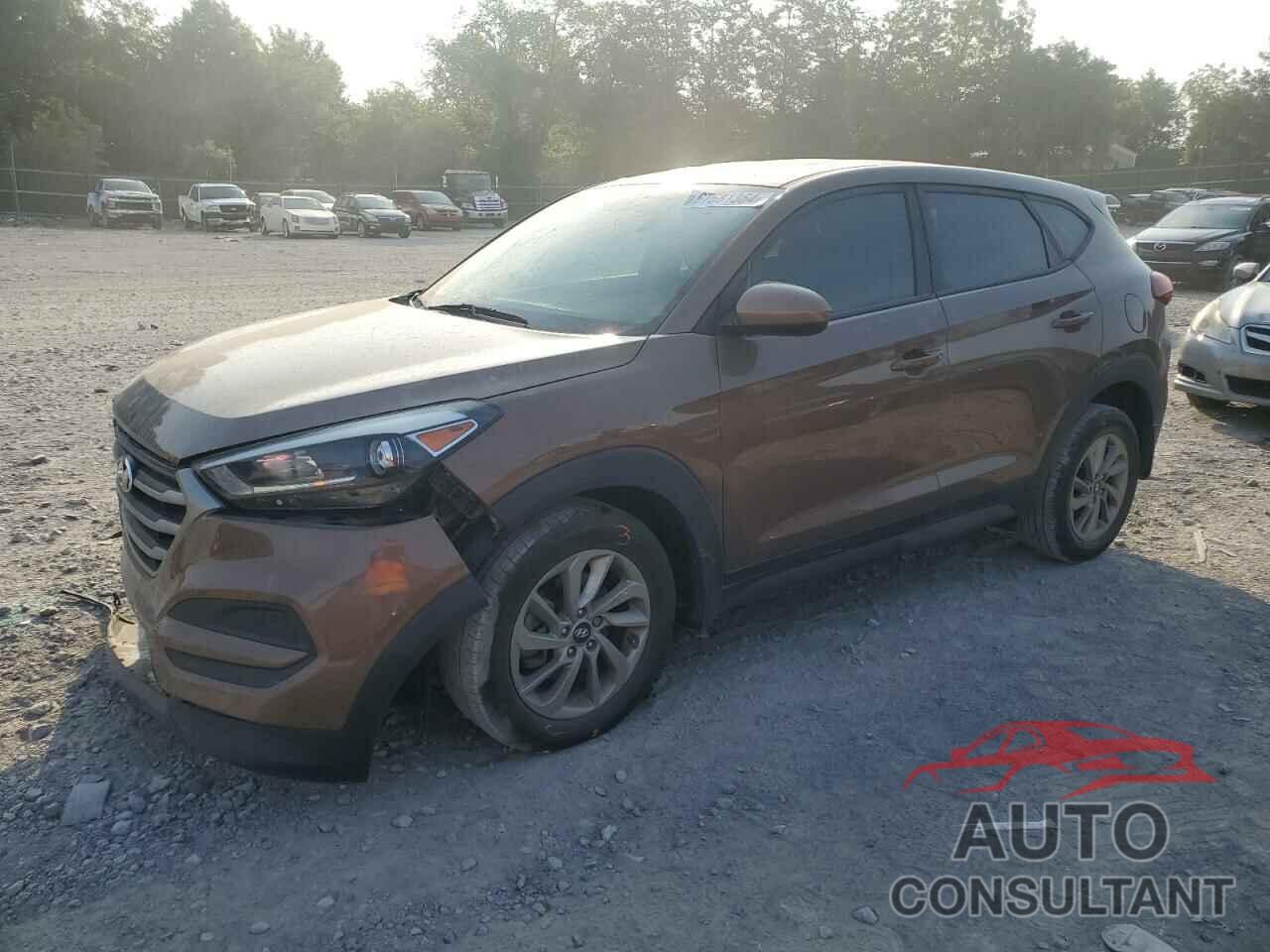 HYUNDAI TUCSON 2017 - KM8J23A42HU537163