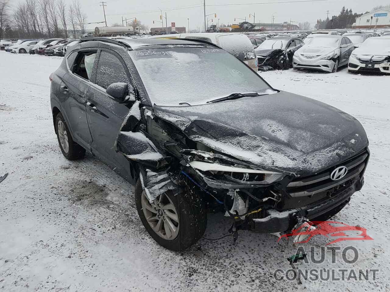 HYUNDAI TUCSON 2016 - KM8J3CA46GU062631