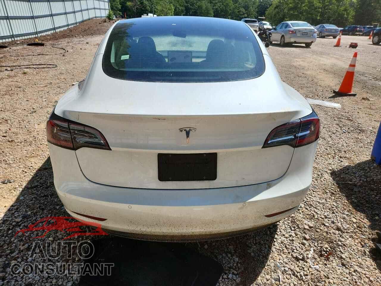 TESLA MODEL 3 2021 - 5YJ3E1EA3MF042241