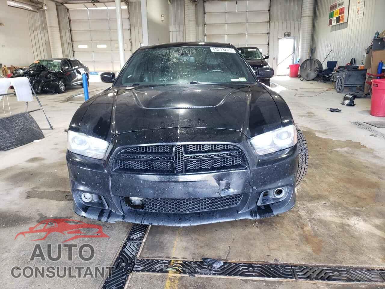 DODGE CHARGER 2013 - 2C3CDXEJ2DH512554