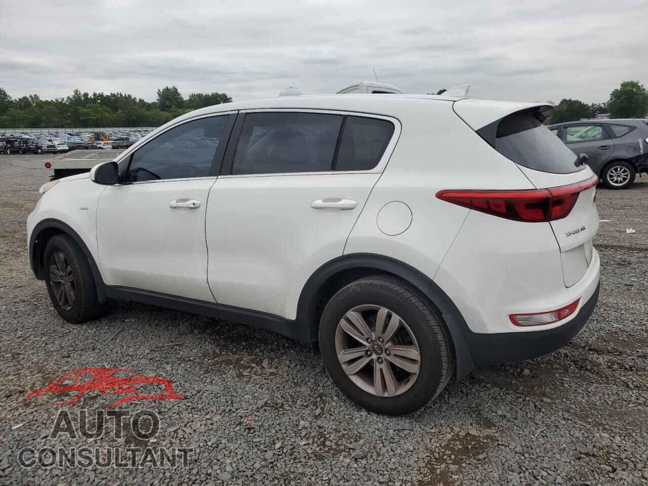 KIA SPORTAGE 2017 - KNDPMCAC7H7141342