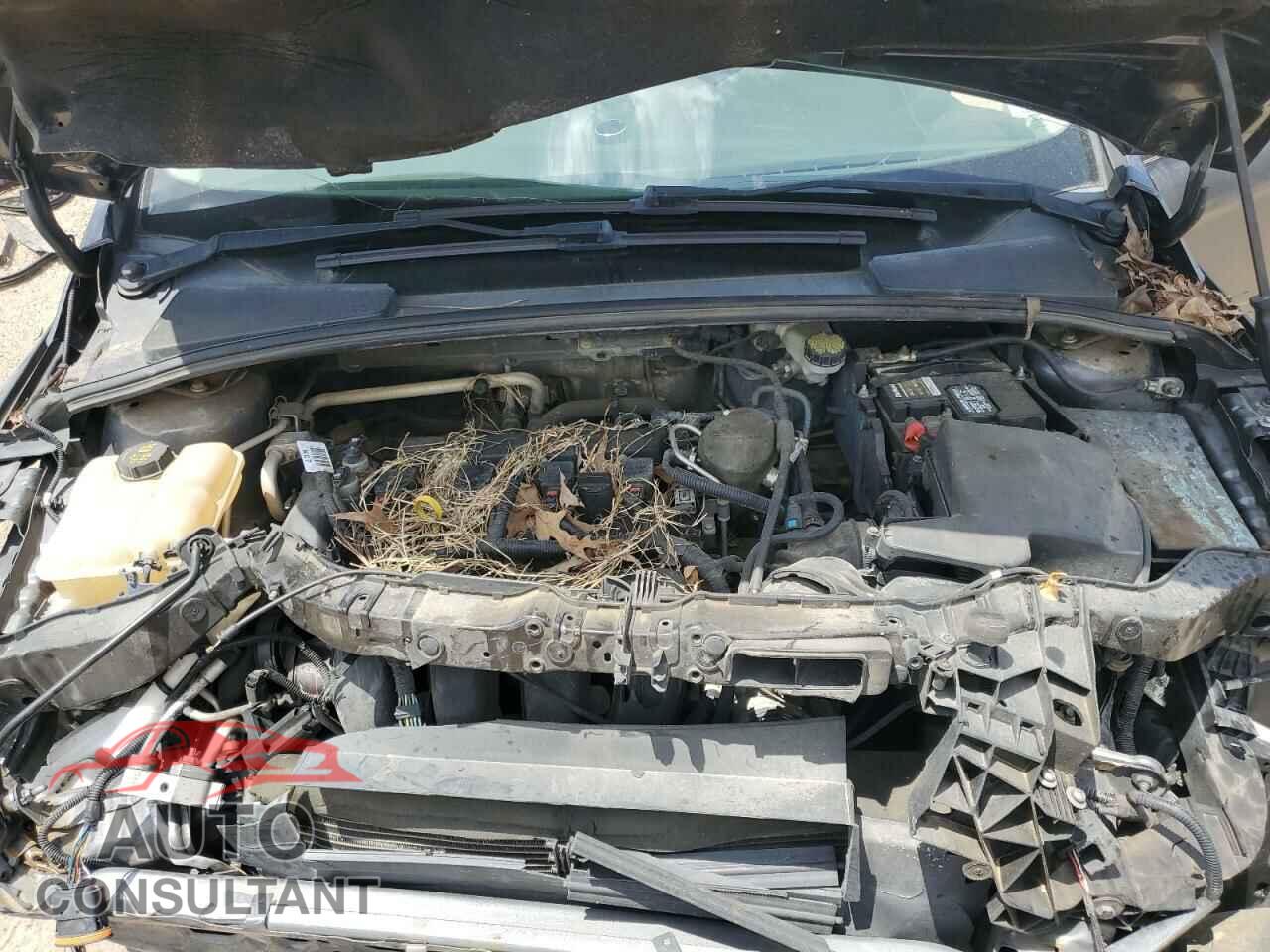 FORD FOCUS 2015 - 1FADP3E20FL200401