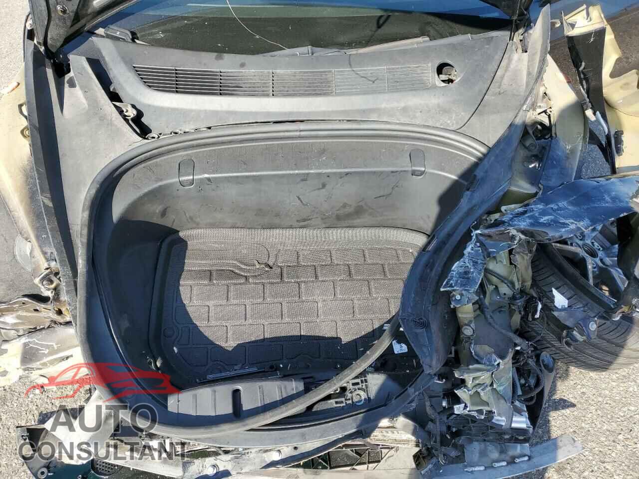 TESLA MODEL 3 2019 - 5YJ3E1EA8KF302095