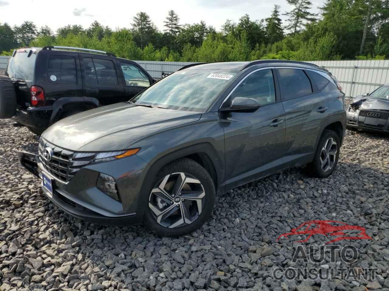 HYUNDAI TUCSON 2024 - KM8JCCD14RU178026