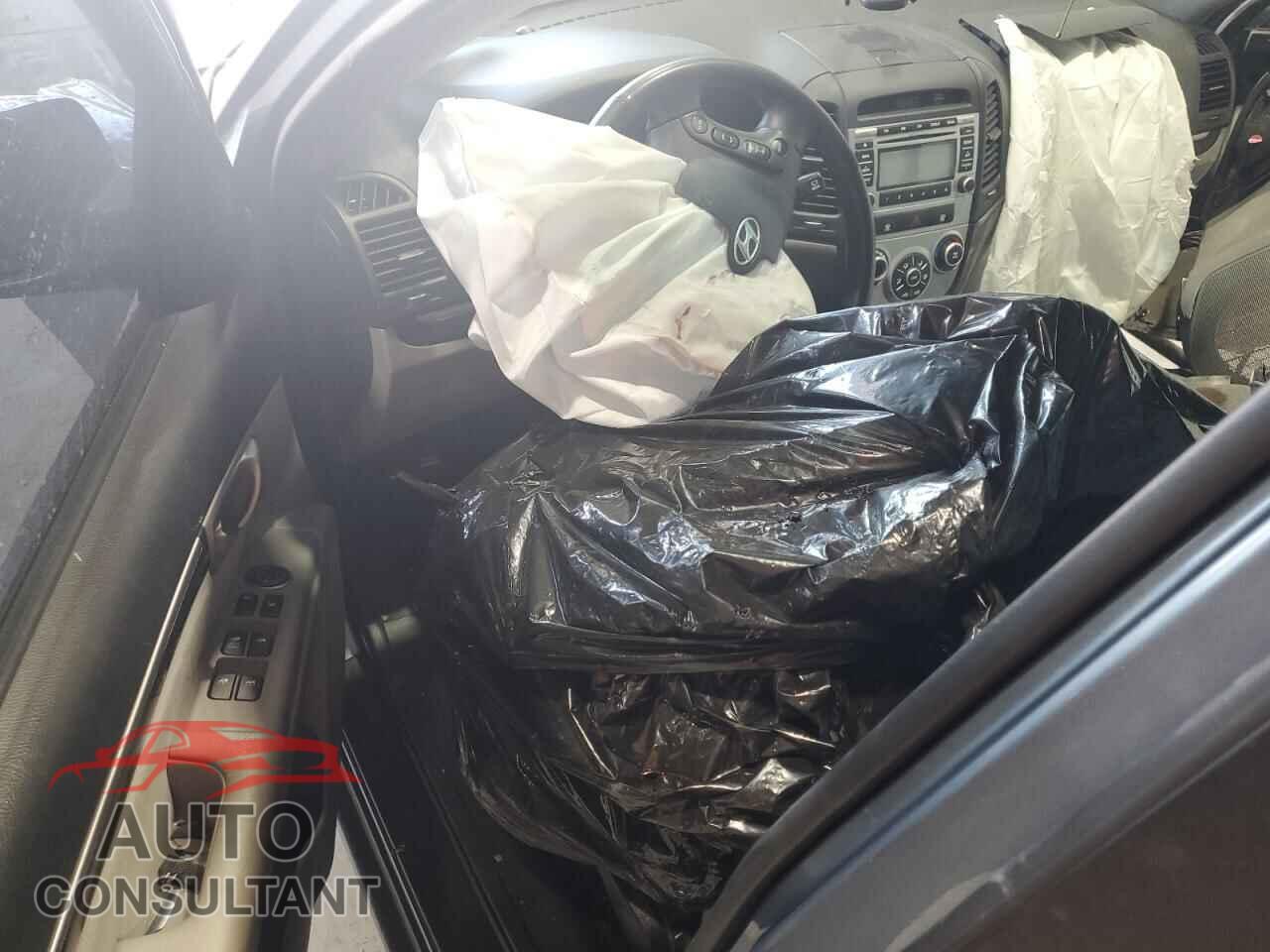 HYUNDAI SANTA FE 2009 - 5NMSH13E19H257387