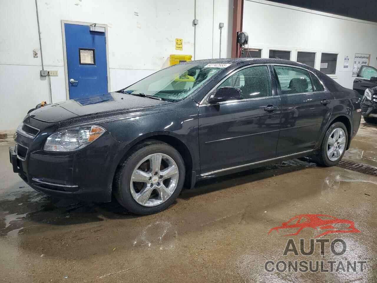 CHEVROLET MALIBU 2010 - 1G1ZD5EB6AF134196