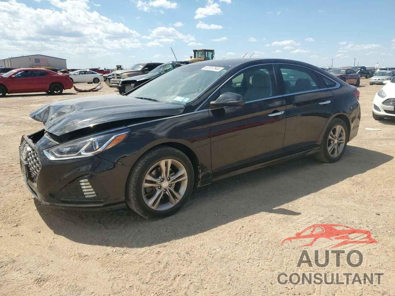 HYUNDAI SONATA 2019 - 5NPE34AF0KH796228