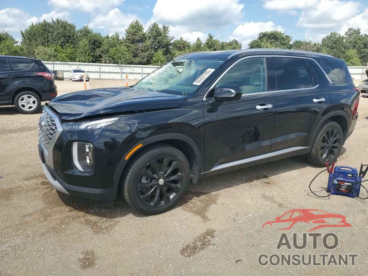 HYUNDAI PALISADE 2020 - KM8R4DHE8LU126425