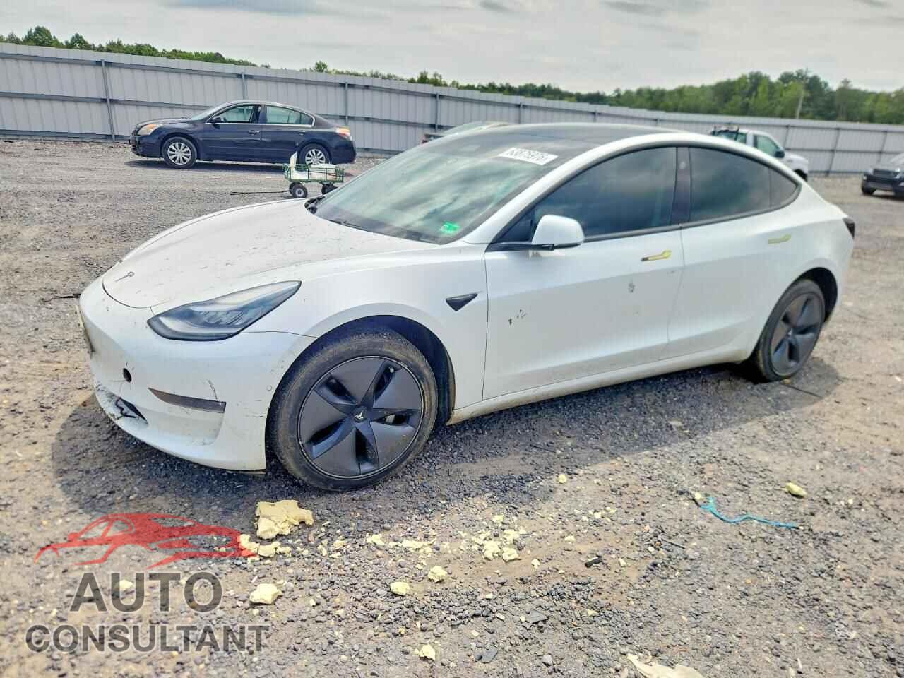 TESLA MODEL 3 2019 - 5YJ3E1EA2KF417808