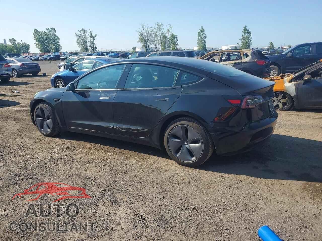 TESLA MODEL 3 2019 - 5YJ3E1EA0KF321336