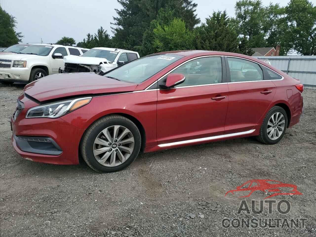 HYUNDAI SONATA 2016 - 5NPE34AF1GH335384