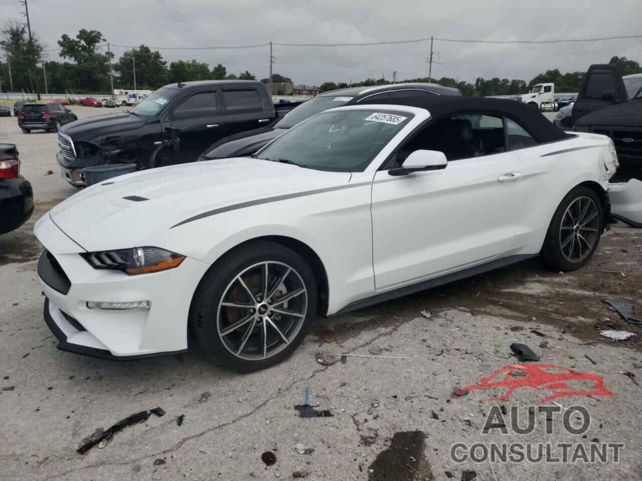 FORD ALL Models 2019 - 1FATP8UH2K5178768