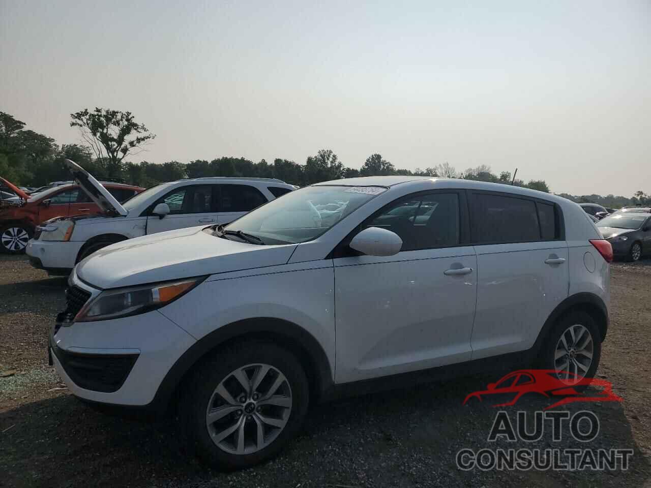 KIA SPORTAGE 2016 - KNDPB3AC9G7794985