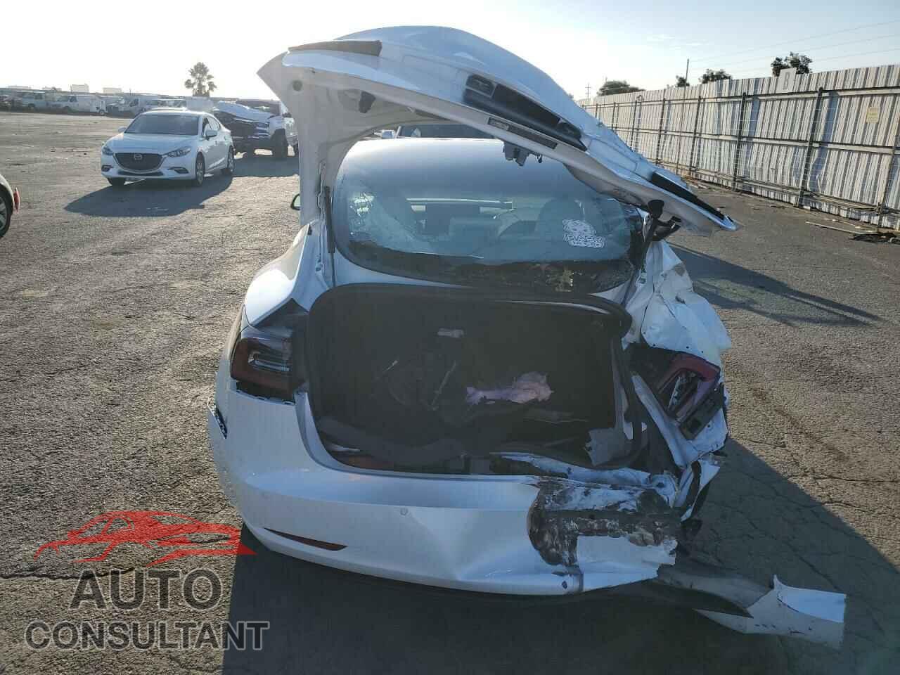 TESLA MODEL 3 2019 - 5YJ3E1EA7KF509447