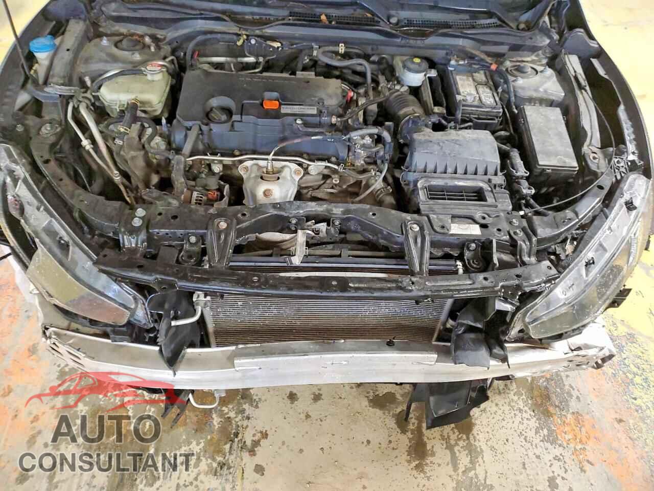 HONDA CIVIC 2019 - 2HGFC2F62KH522802