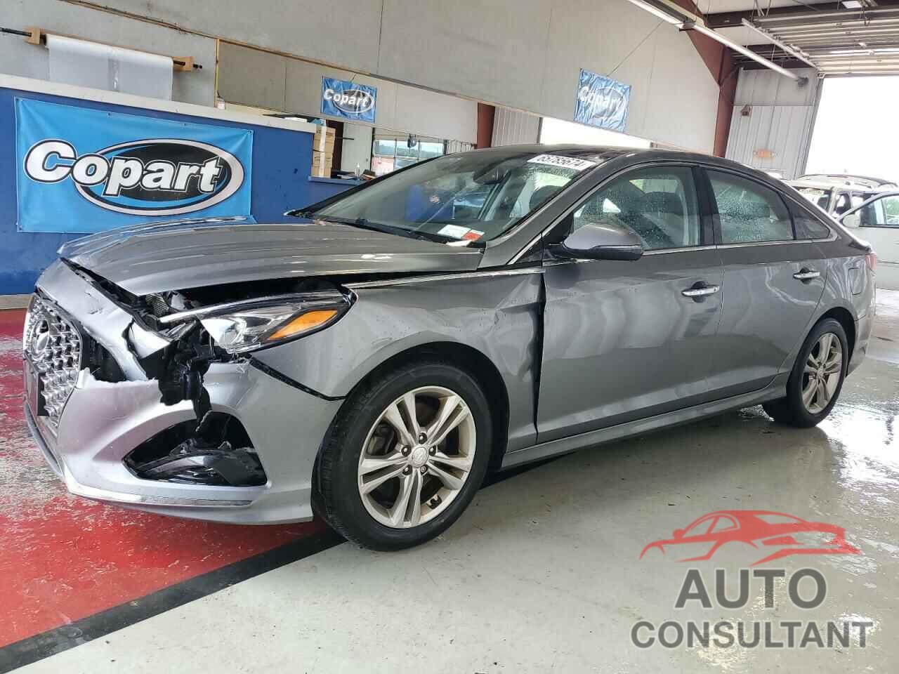 HYUNDAI SONATA 2019 - 5NPE34AF3KH735231